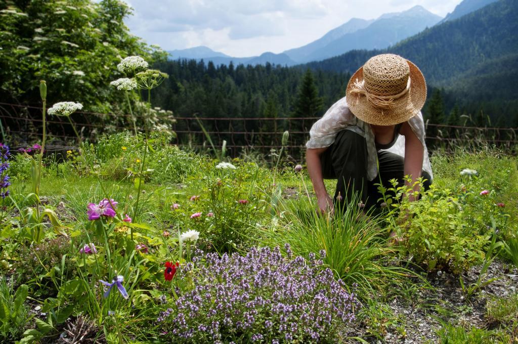 Yoga Resort Alpenretreat Nassereith Rum bild